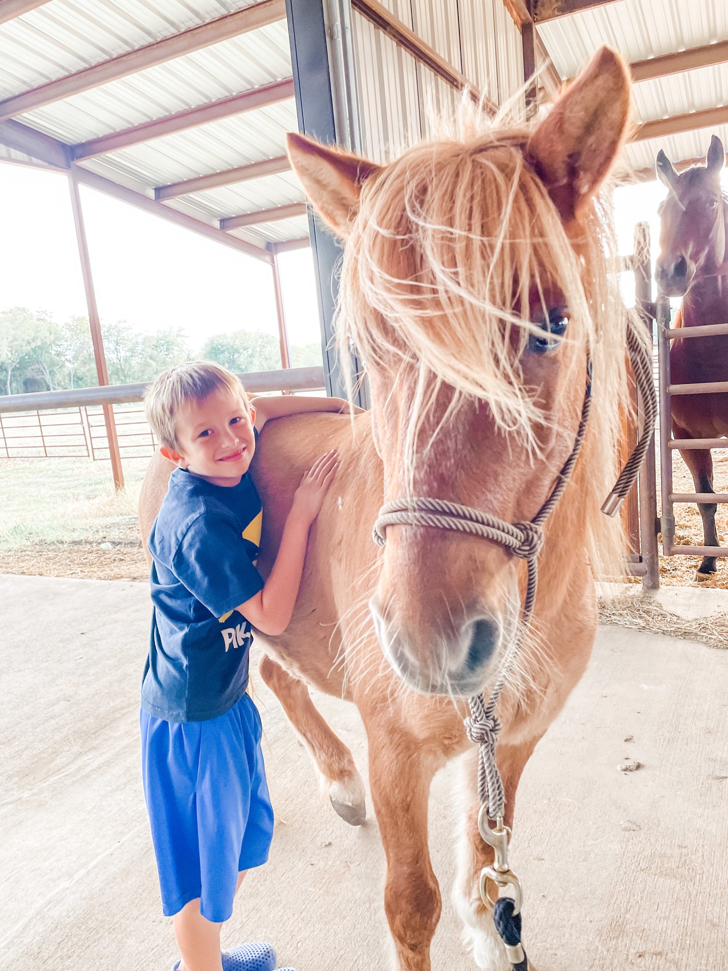 Spyder the Wonder Pony